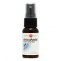 Holystic Health, AminoAssist™ Nutrient Absorption Spray 29mL (.97 Fl oz)