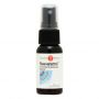 Holystic Health, Resveratrol™ Antioxidant & Glutamate Balance Spray 29ML (.97 FL oz)